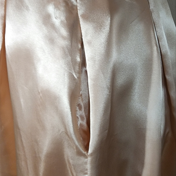 Windsor Dress Sleeveless Pleated Cut Out Velvet and Satin Champagne Size… - Picture 11 of 17